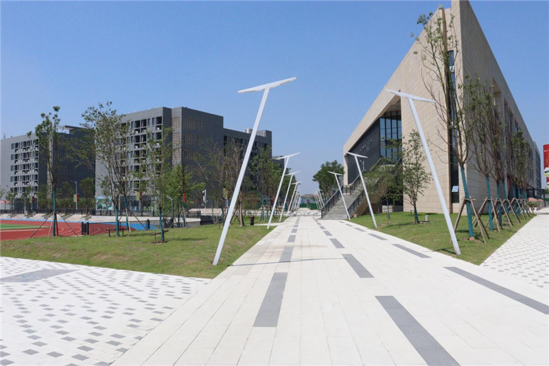 1637809989152692.png 图片9.png