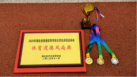 1762931602175911.png image.png